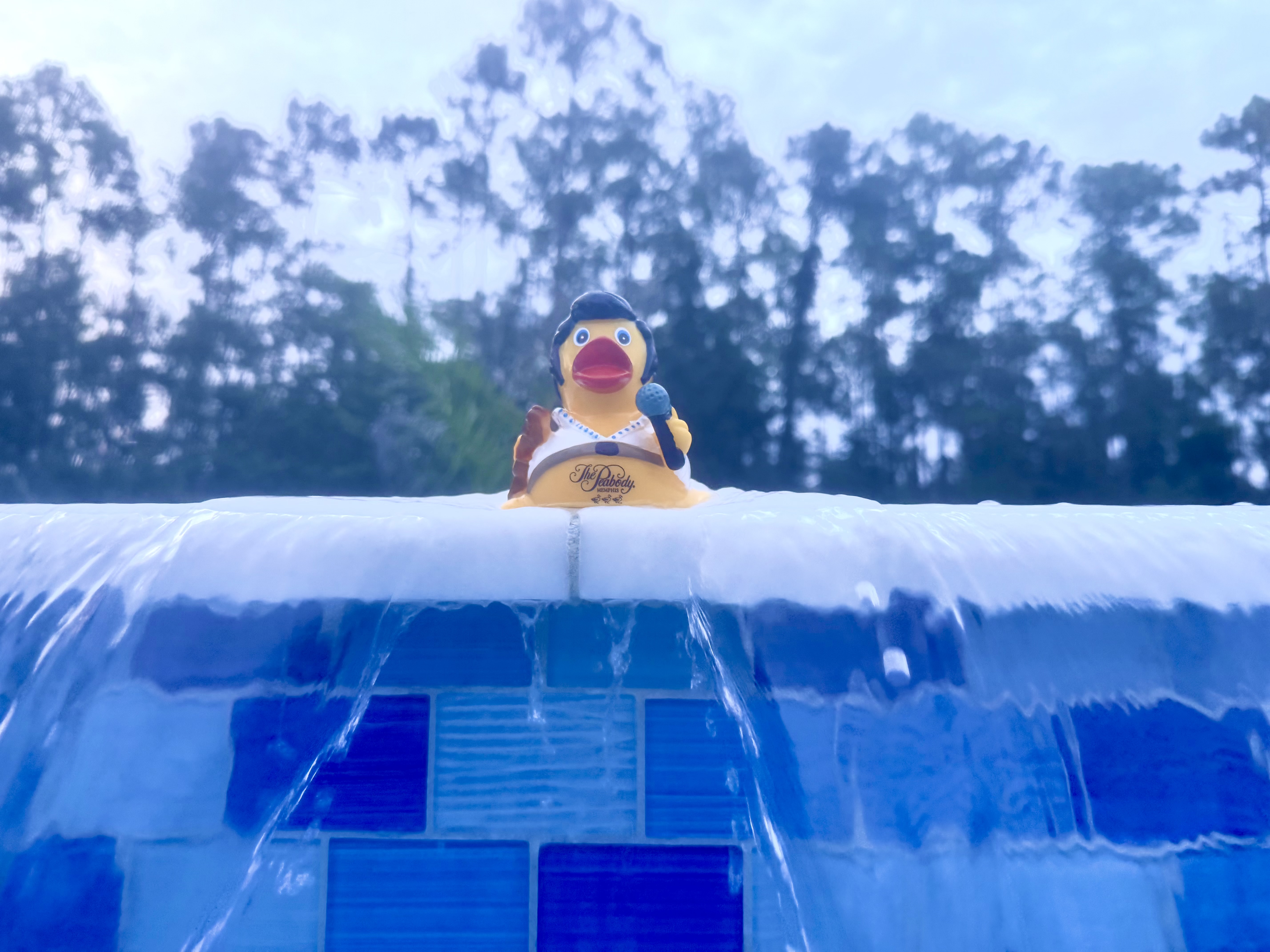 Swimming pool in Naples Florida